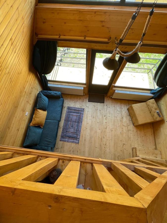 Guesthouse Elli & Cottages Kazbegi Εξωτερικό φωτογραφία
