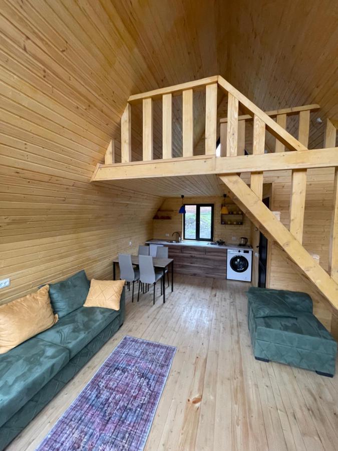 Guesthouse Elli & Cottages Kazbegi Εξωτερικό φωτογραφία