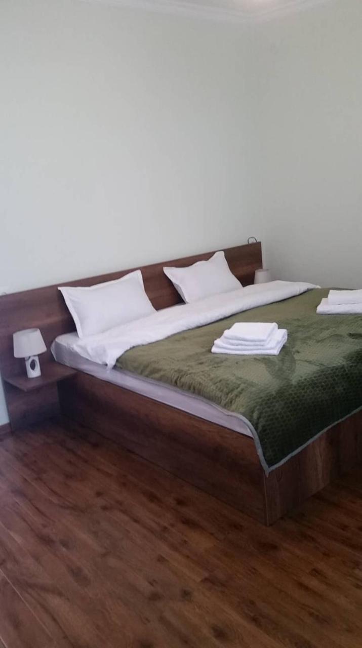 Guesthouse Elli & Cottages Kazbegi Εξωτερικό φωτογραφία